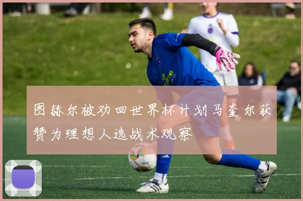 图赫尔被劝回世界杯计划马奎尔获赞为理想人选战术观察