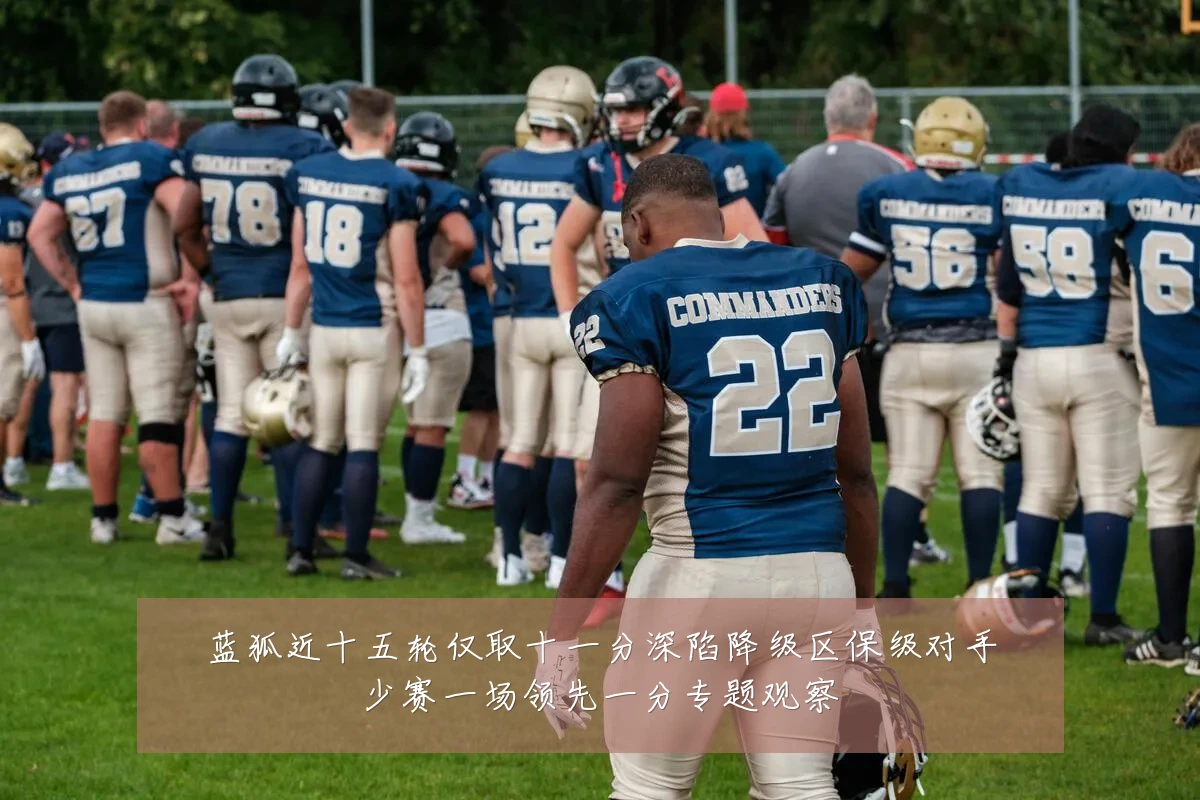 蓝狐近十五轮仅取十一分深陷降级区保级对手少赛一场领先一分专题观察